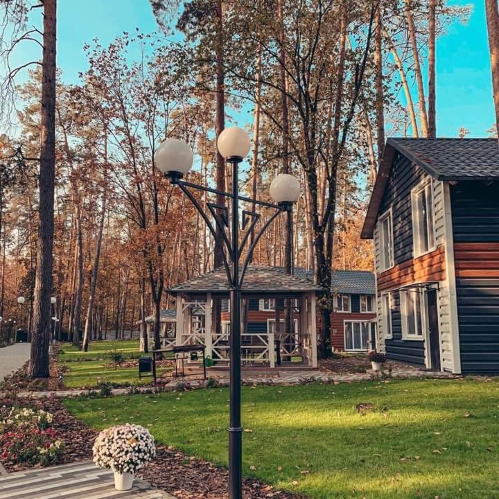 Клуб Відпочинку Dacha Villa Sokirno Eksteriør bilde